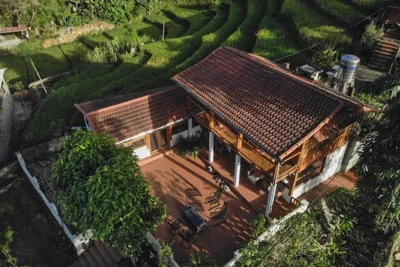 Luckydaisy Buffalo House – Photos 13