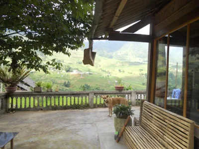 Luckydaisy Buffalo House – Photos 16